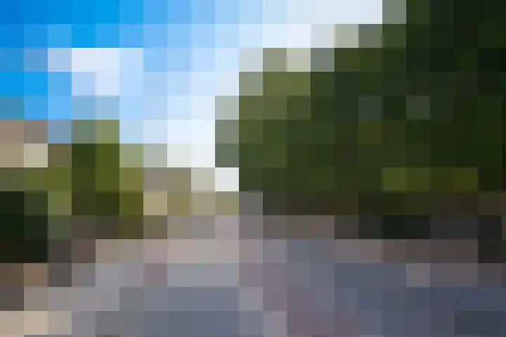 Paterstraat 54 Kerkdriel thumbnail 43