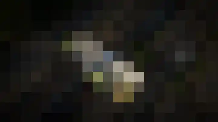 Paterstraat 54 Kerkdriel thumbnail 45