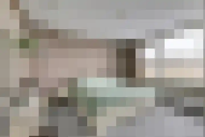 Paterstraat 56 Kerkdriel thumbnail 13