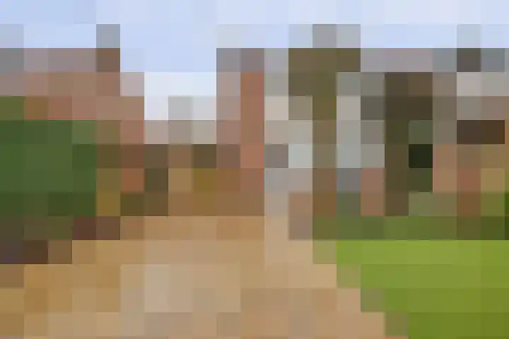 Paterstraat 56 Kerkdriel thumbnail 21