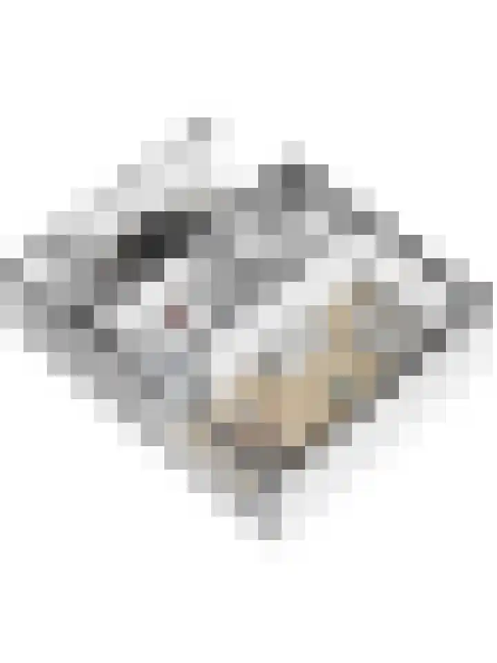 Paterstraat 56 Kerkdriel thumbnail 37