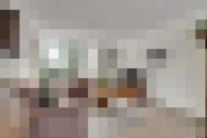Paterstraat 56 Kerkdriel thumbnail 4
