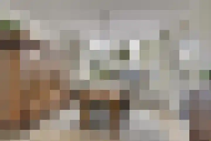 Paterstraat 56 Kerkdriel thumbnail 6