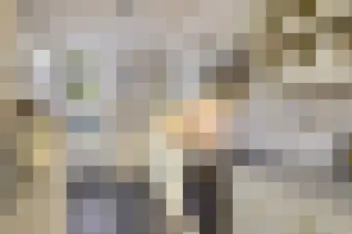 Paterstraat 56 Kerkdriel thumbnail 7