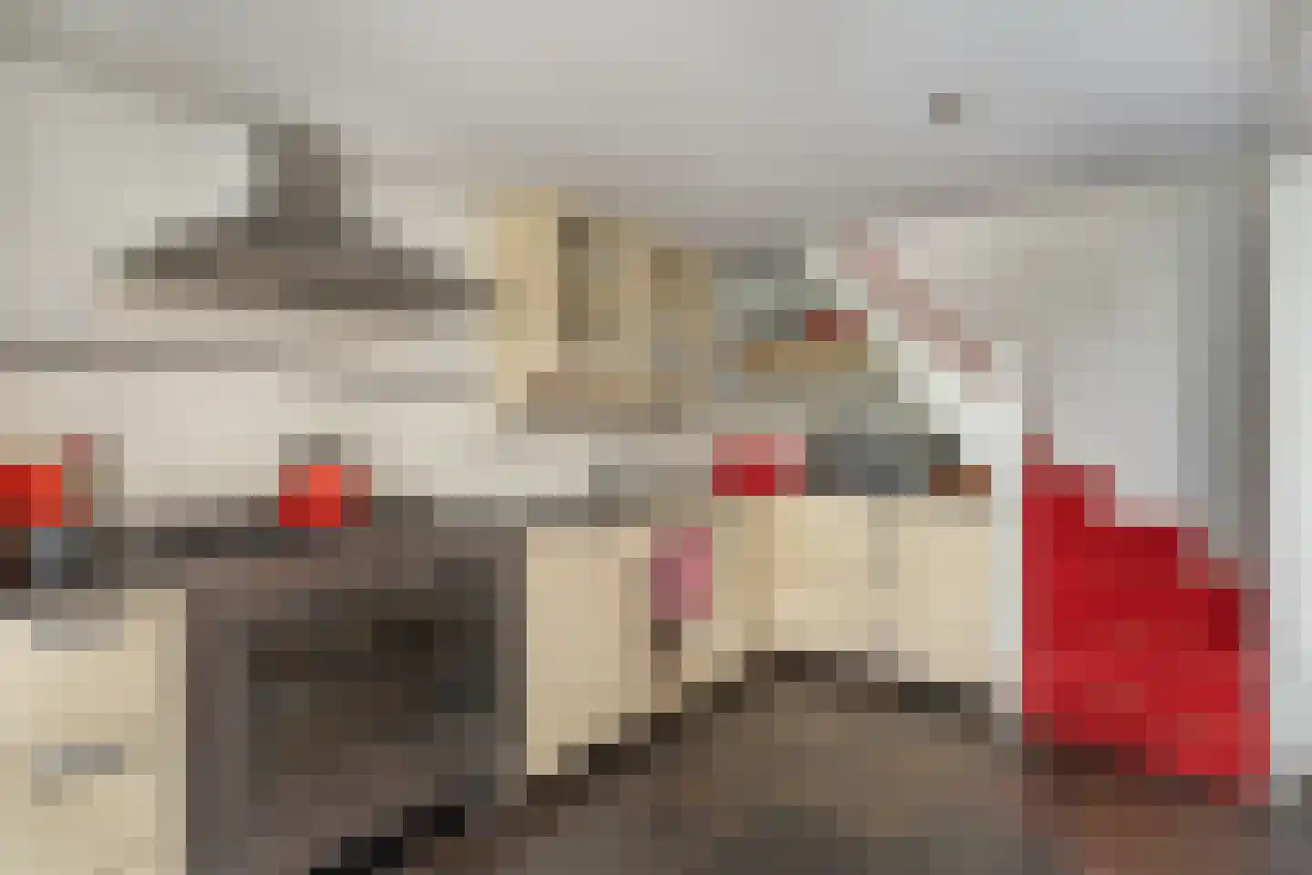 Paterstraat 59 Den Dungen thumbnail 10
