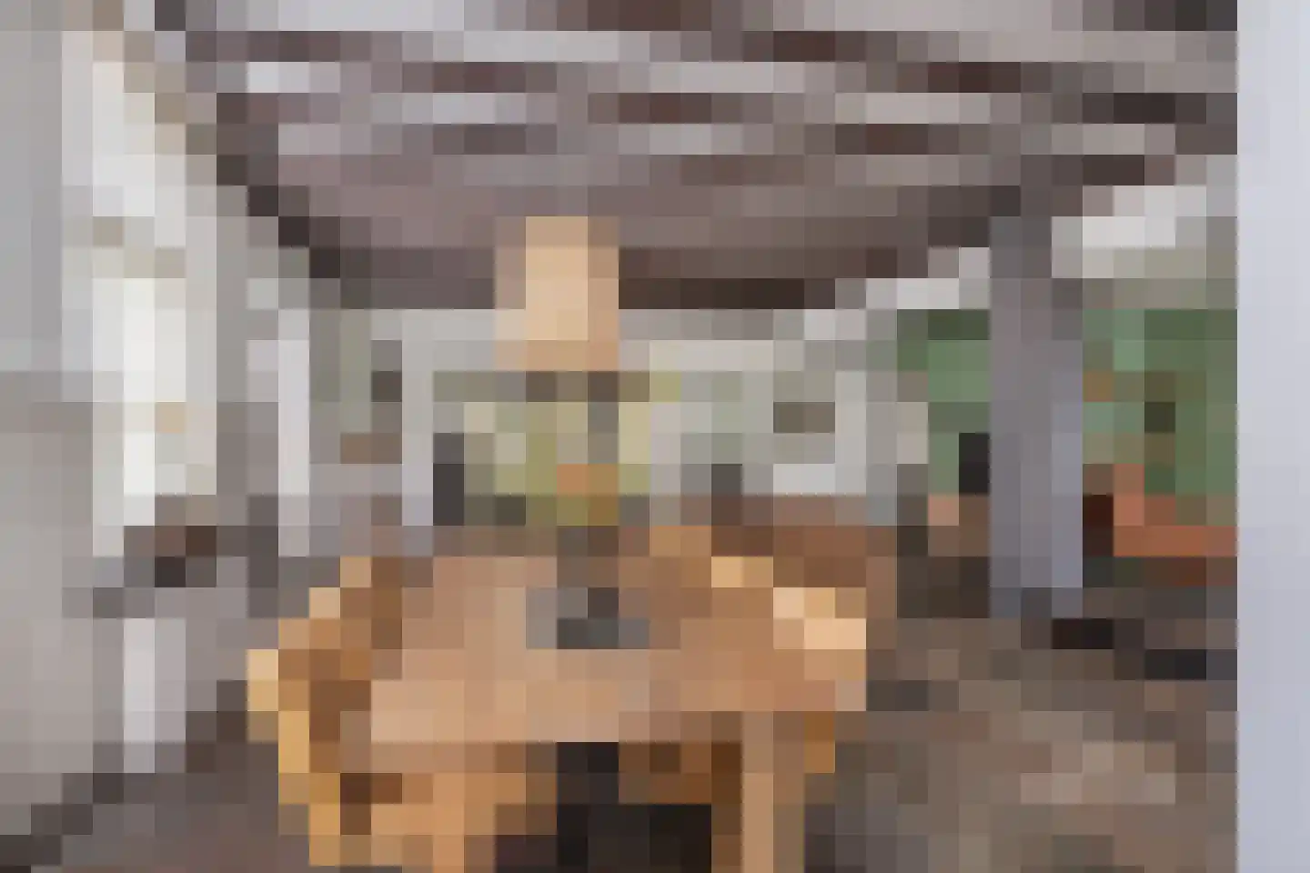 Paterstraat 59 Den Dungen thumbnail 12