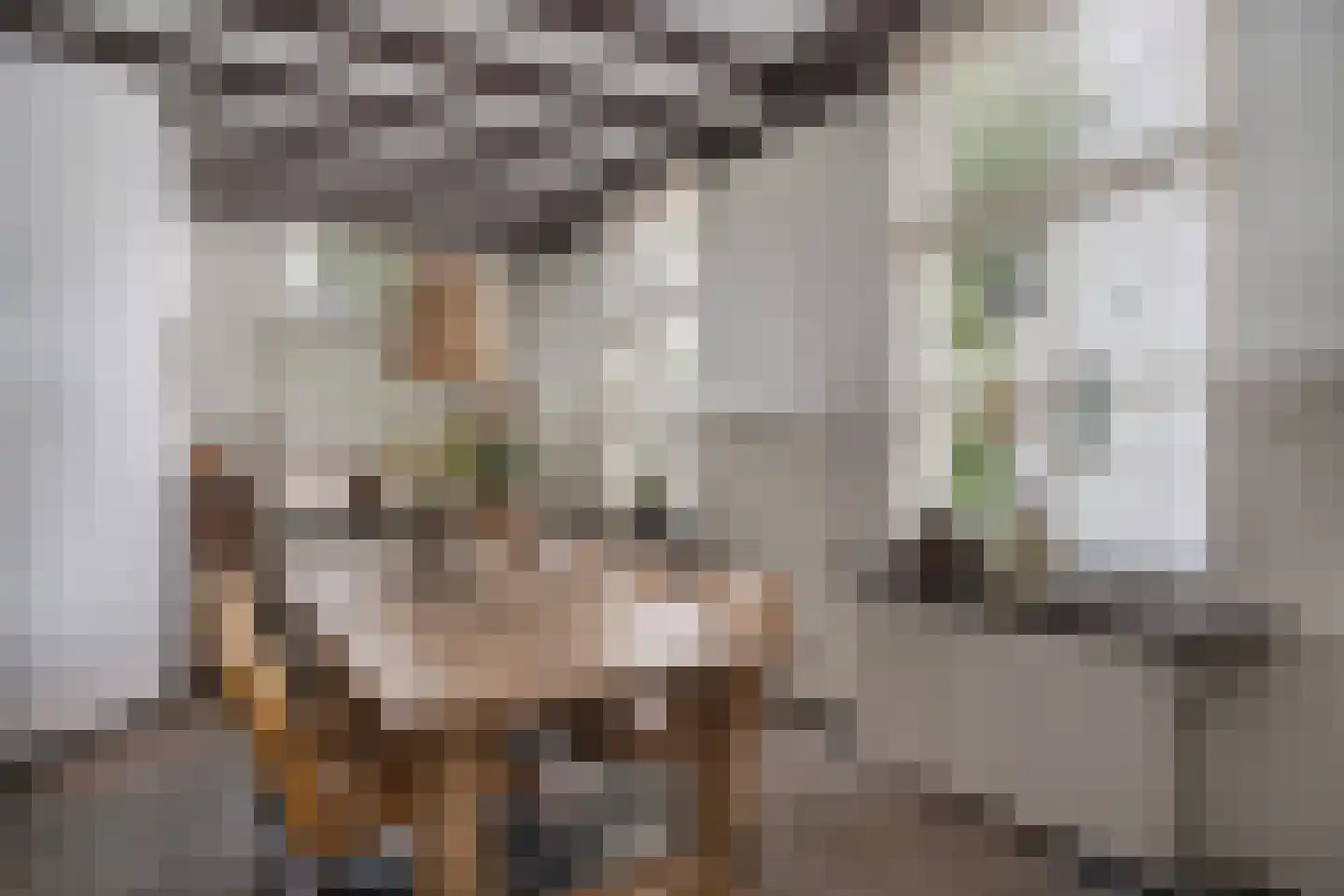 Paterstraat 59 Den Dungen thumbnail 13