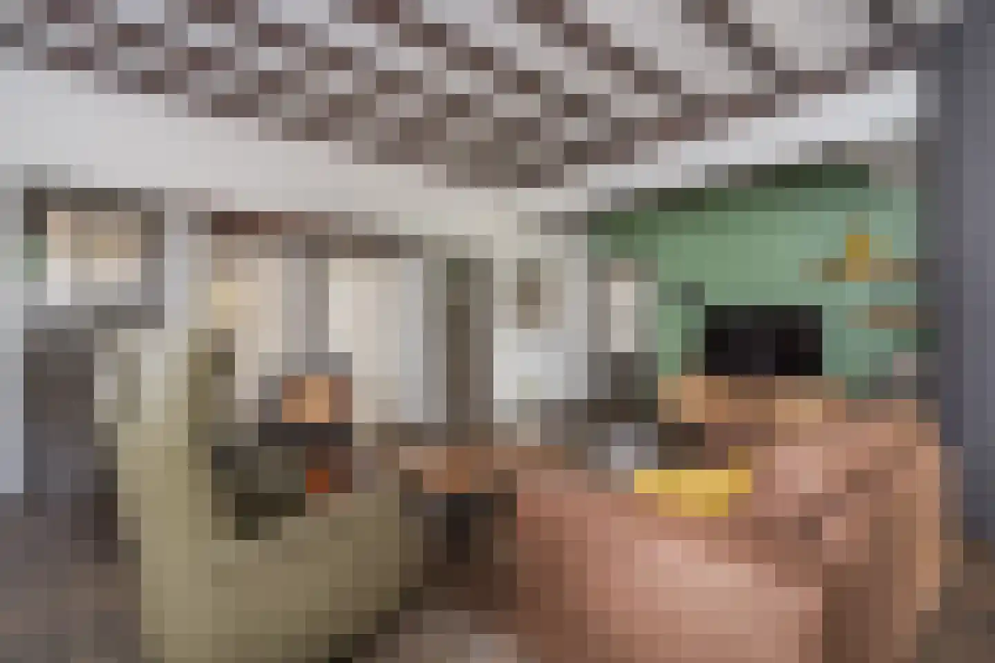 Paterstraat 59 Den Dungen thumbnail 14