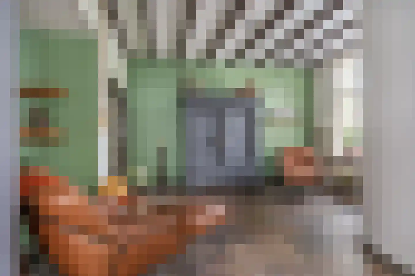 Paterstraat 59 Den Dungen thumbnail 15