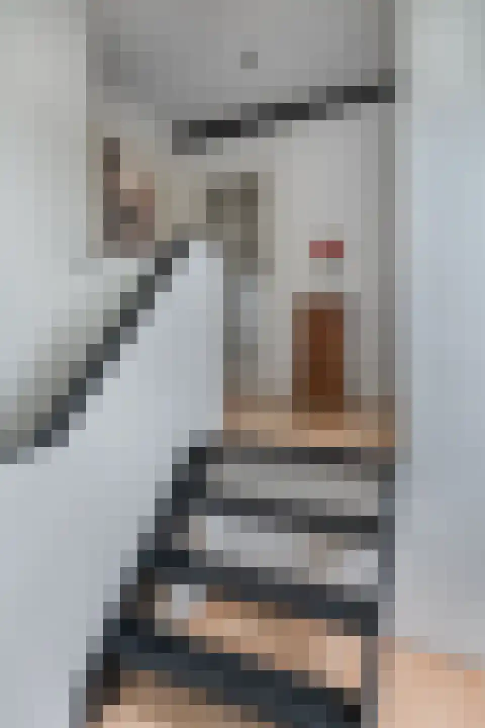 Paterstraat 59 Den Dungen thumbnail 21
