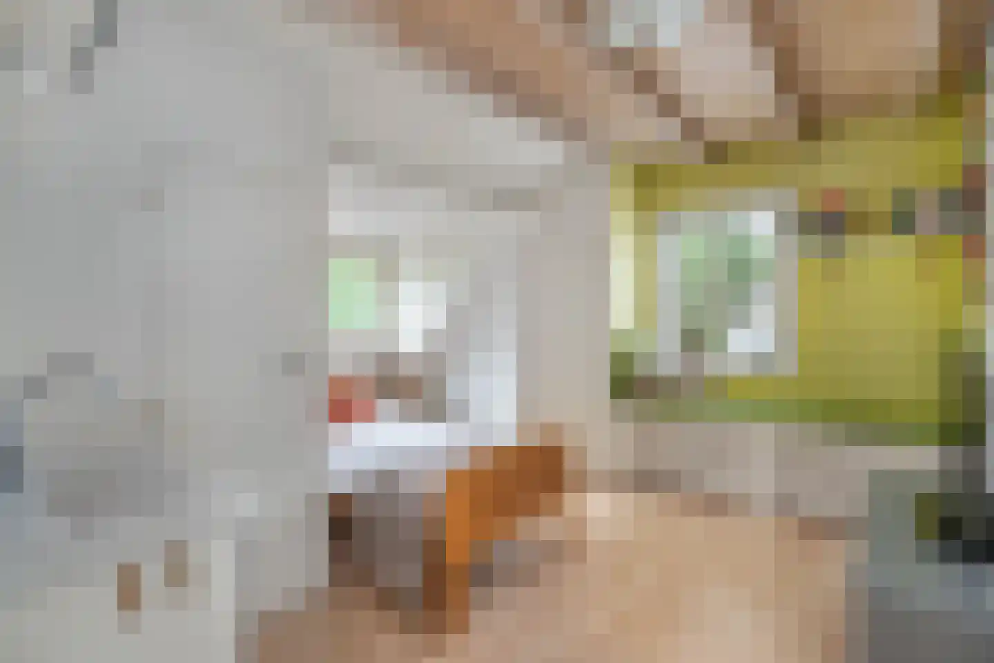 Paterstraat 59 Den Dungen thumbnail 22
