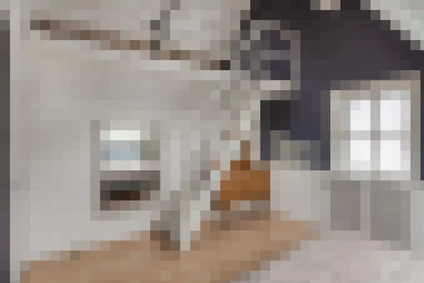 Paterstraat 59 Den Dungen thumbnail 24
