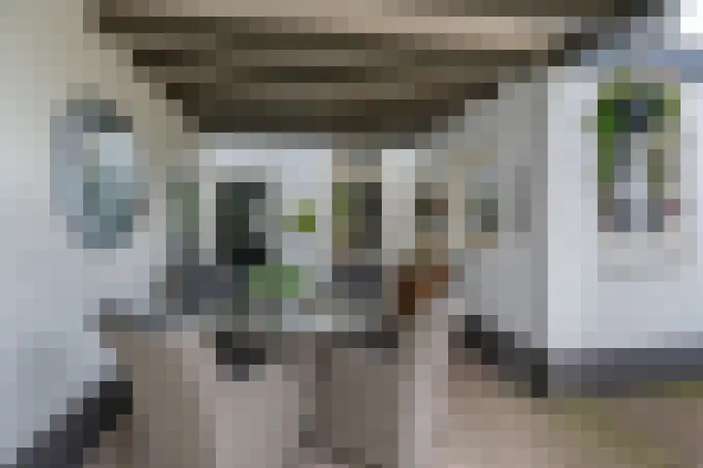Paterstraat 59 Den Dungen thumbnail 34