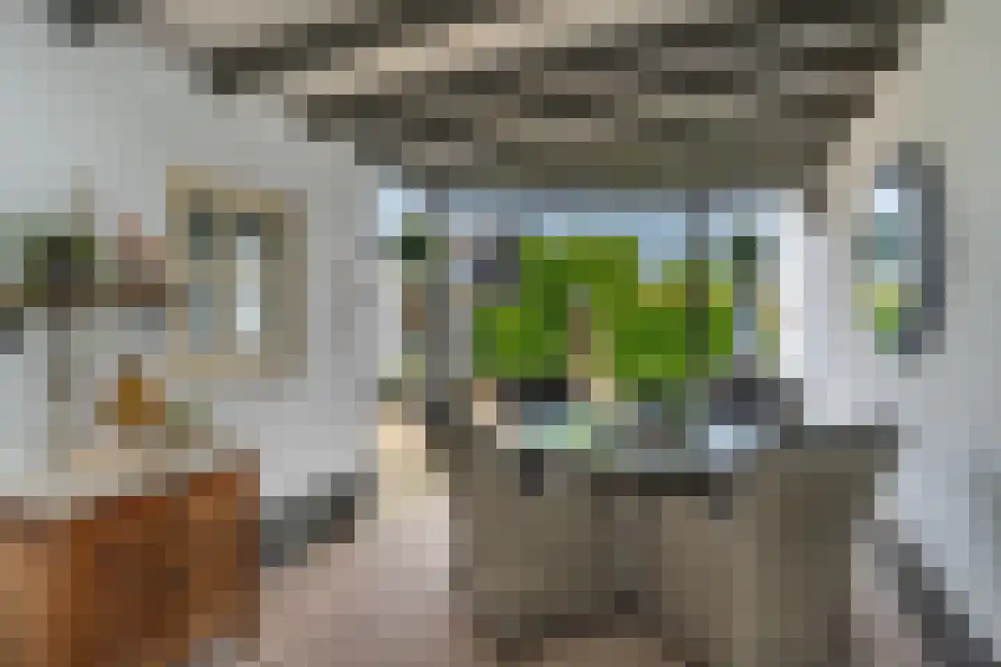 Paterstraat 59 Den Dungen thumbnail 38