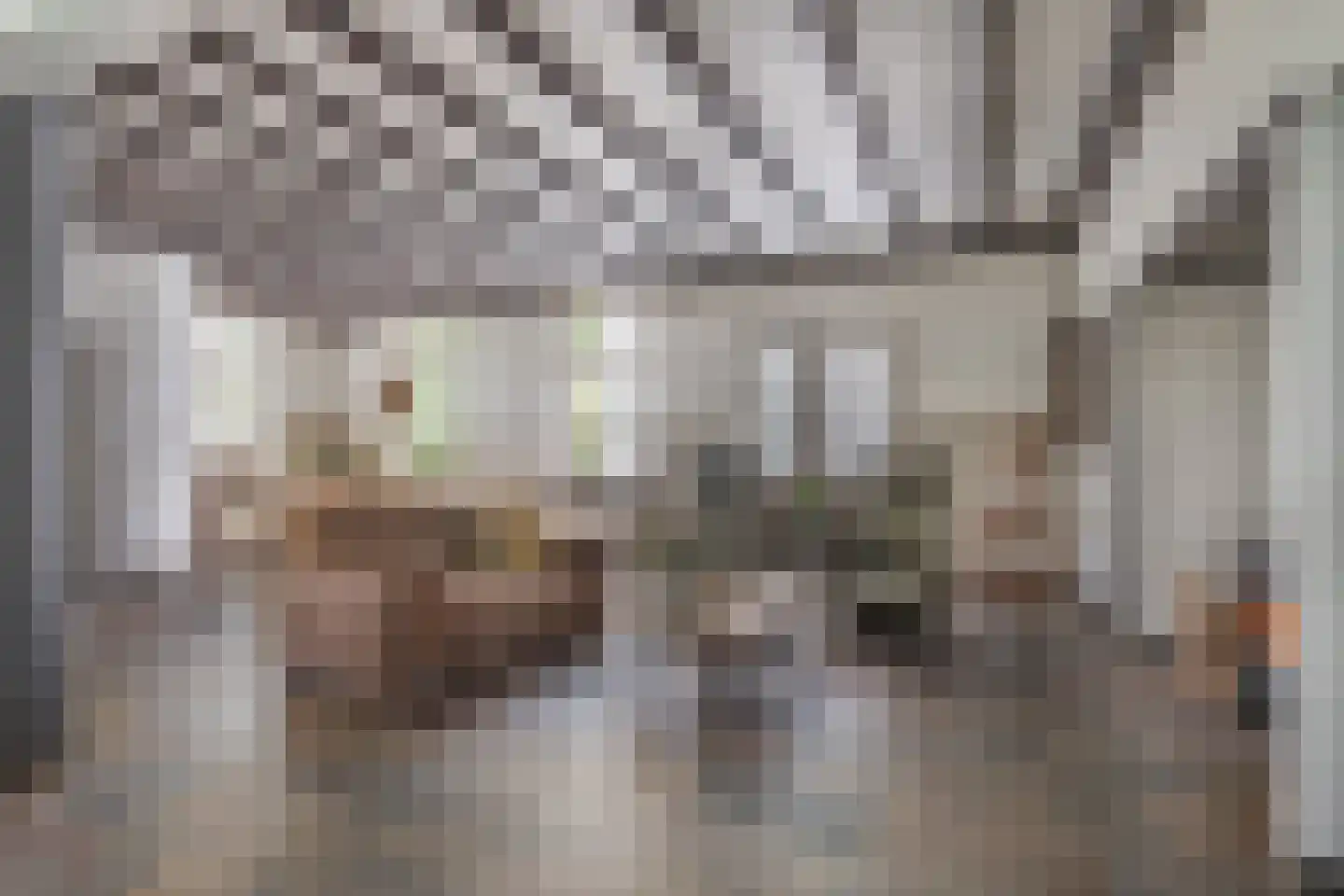Paterstraat 59 Den Dungen thumbnail 4