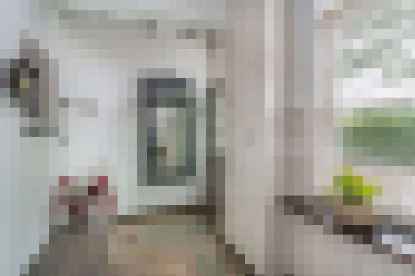 Paterstraat 59 Den Dungen thumbnail 7