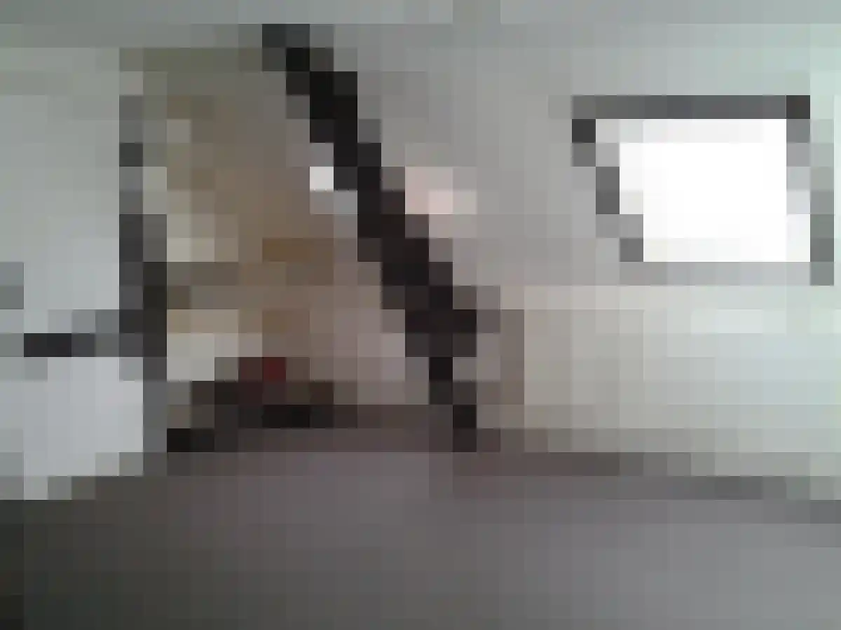 Paterstraat 77 Tilburg thumbnail 5