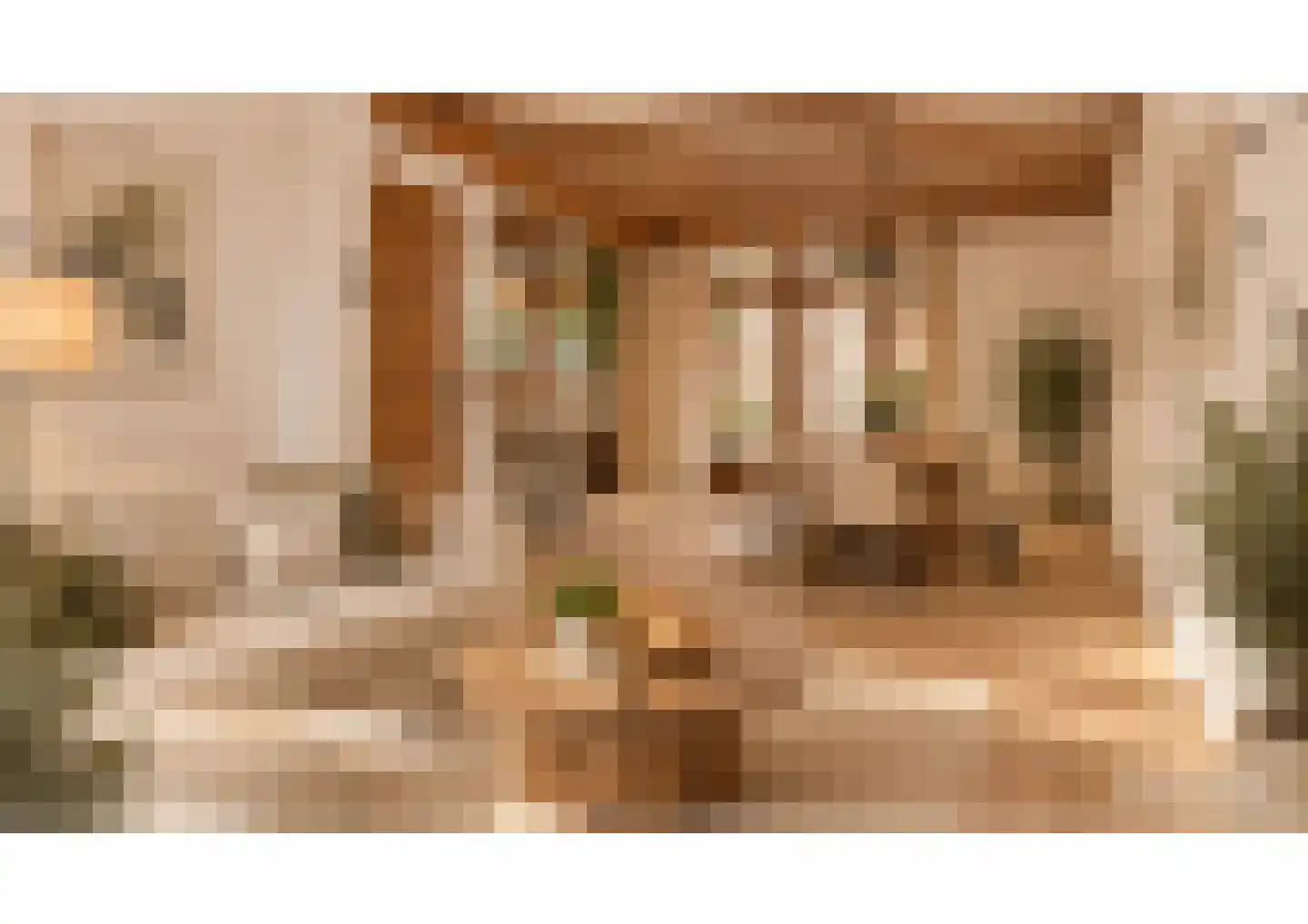 Paterstraat 91 Tilburg thumbnail 17