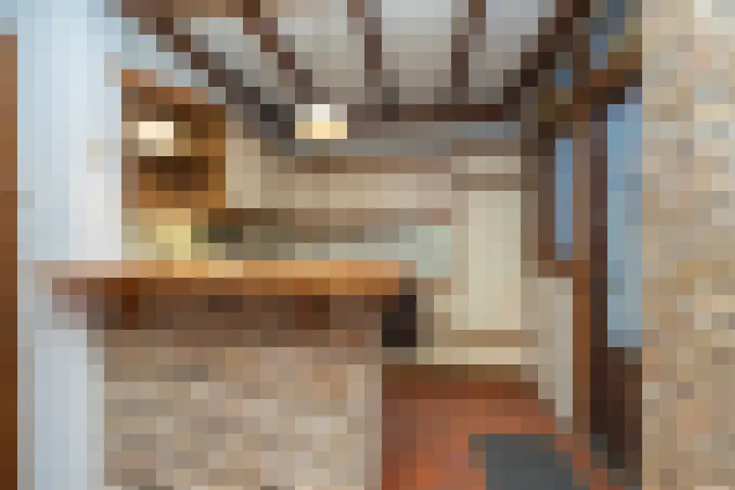 Paterstraat 91 Tilburg thumbnail 17