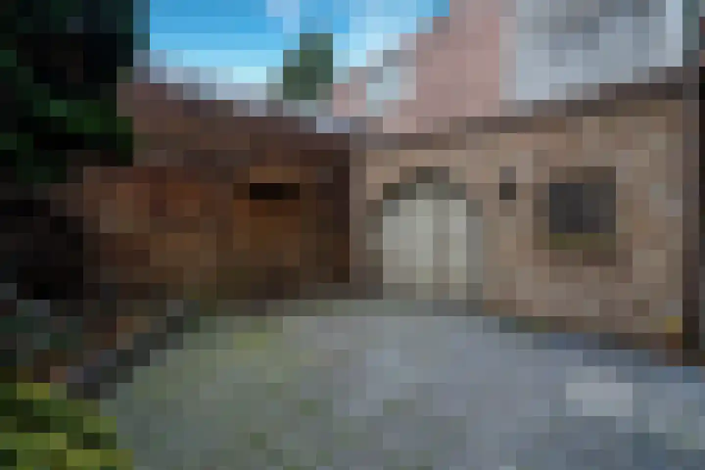 Paterstraat 91 Tilburg thumbnail 25