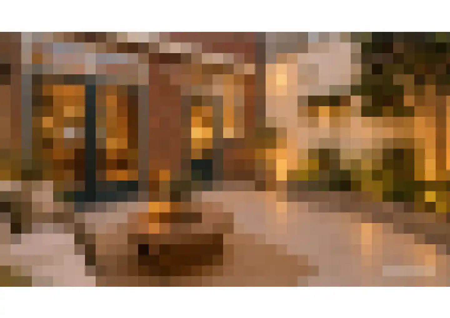 Paterstraat 91 Tilburg thumbnail 25