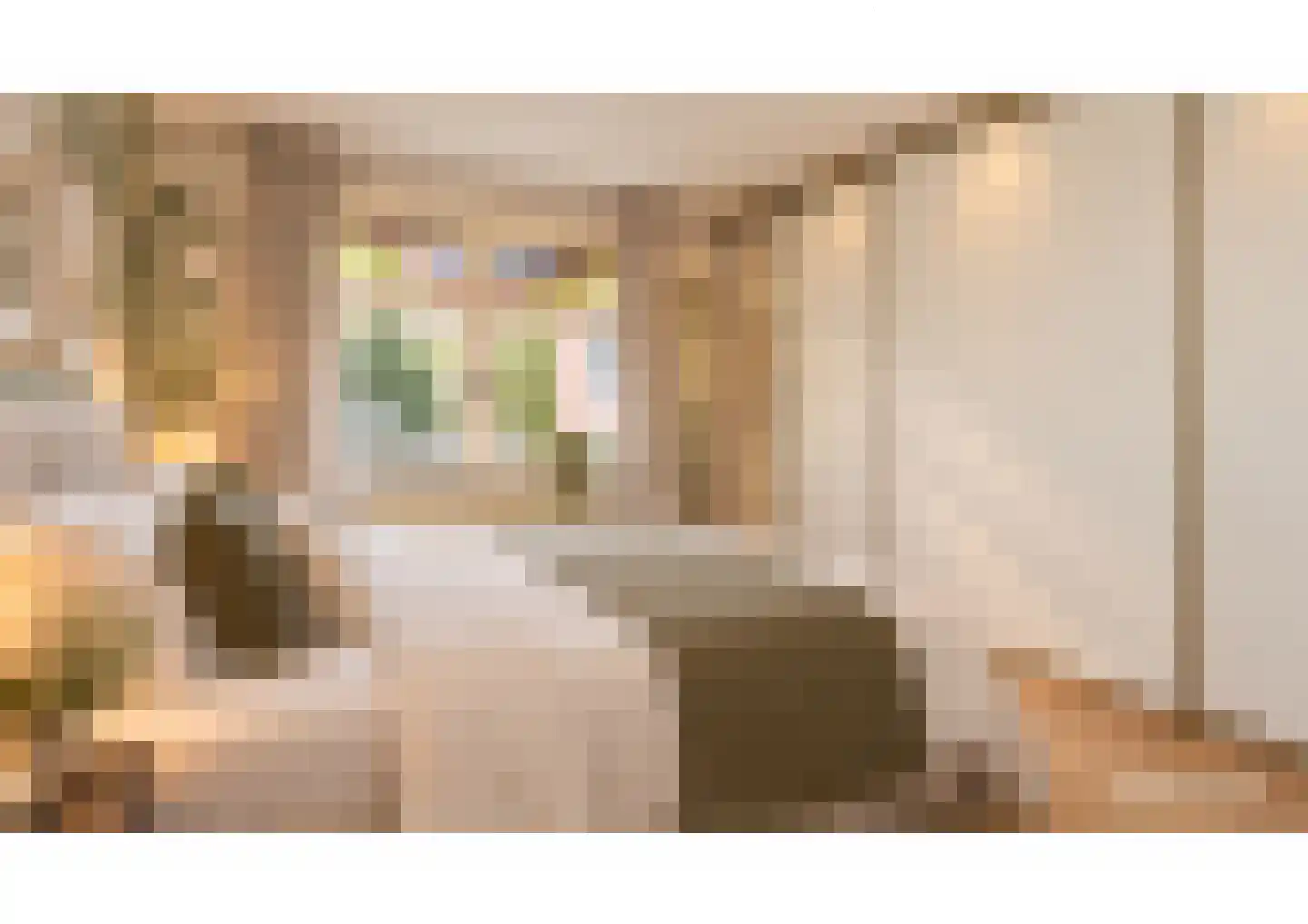 Paterstraat 91 Tilburg thumbnail 31
