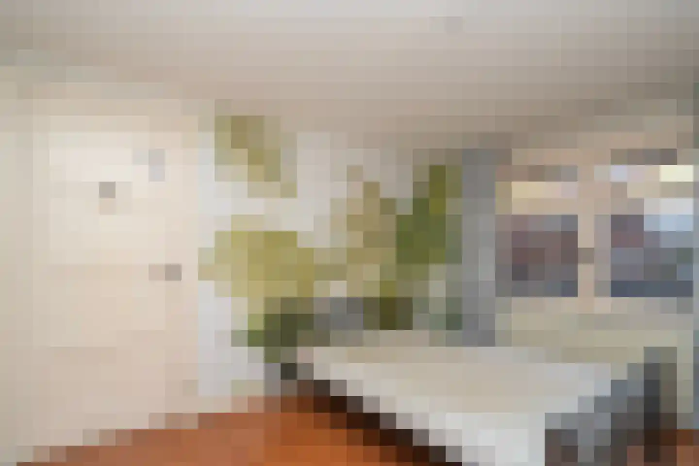 Paterstraat 91 Tilburg thumbnail 33
