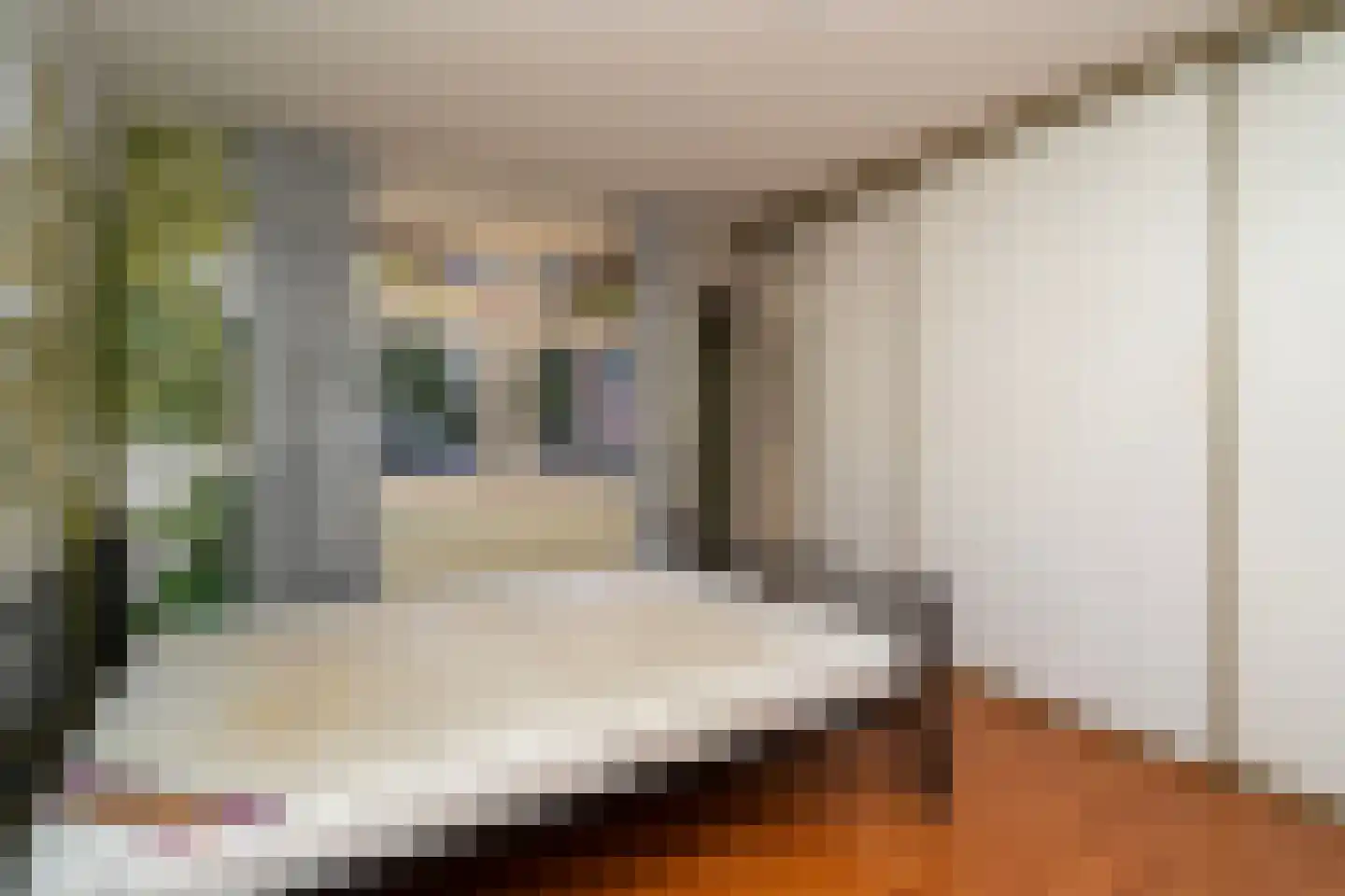 Paterstraat 91 Tilburg thumbnail 4