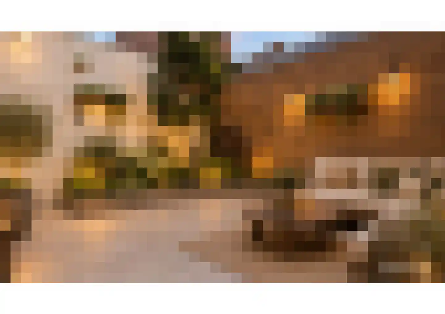 Paterstraat 91 Tilburg thumbnail 4