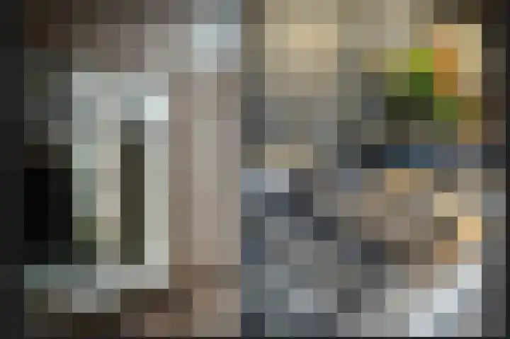 Paterstraat 98 Kerkdriel thumbnail 12