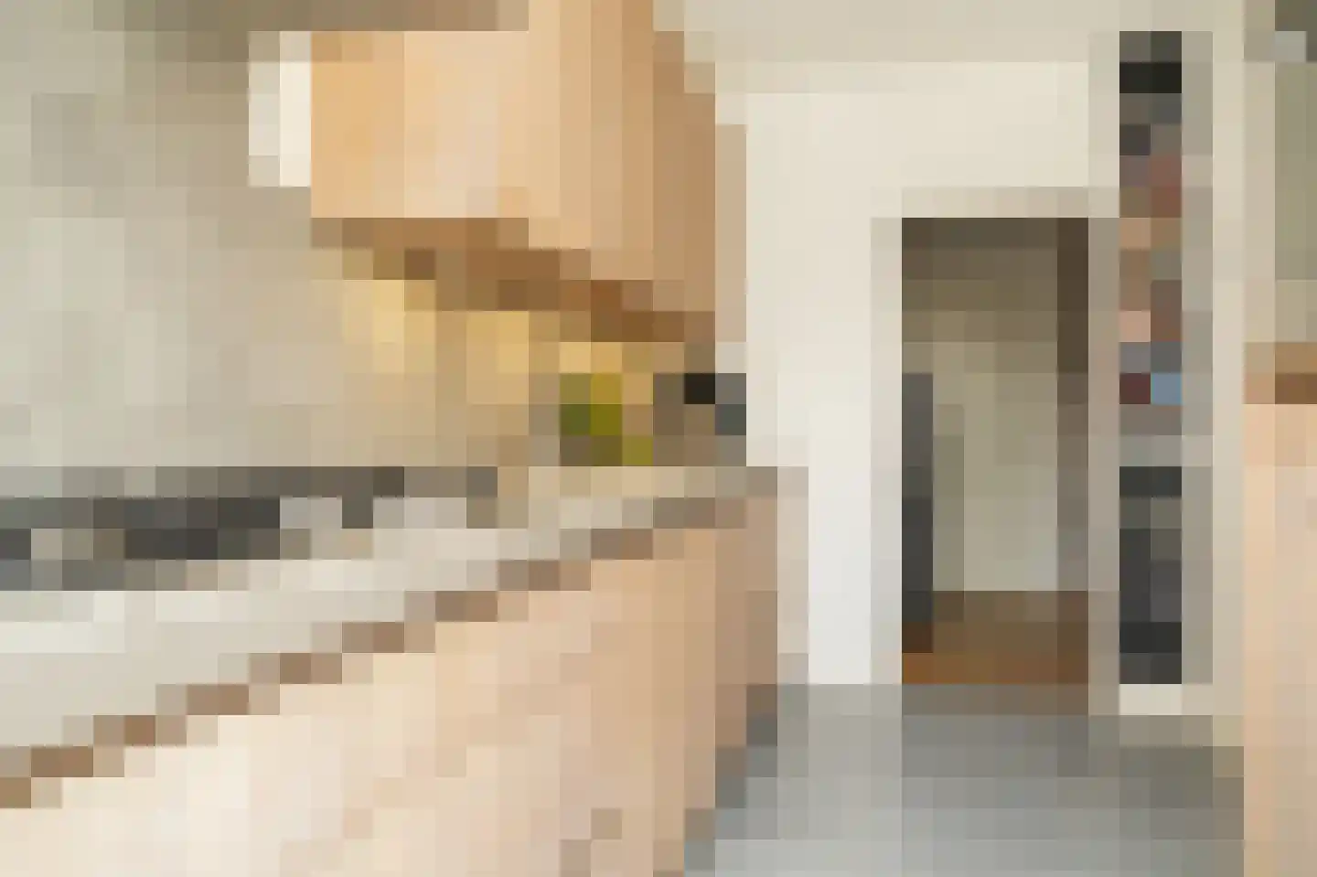 Paterstraat 98 Kerkdriel thumbnail 13