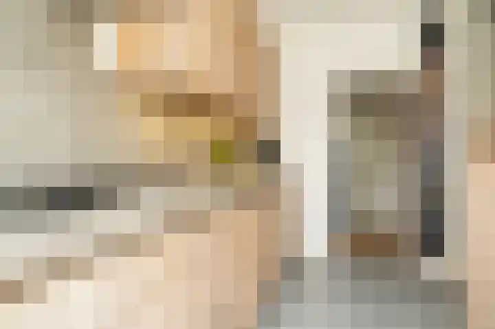 Paterstraat 98 Kerkdriel thumbnail 13
