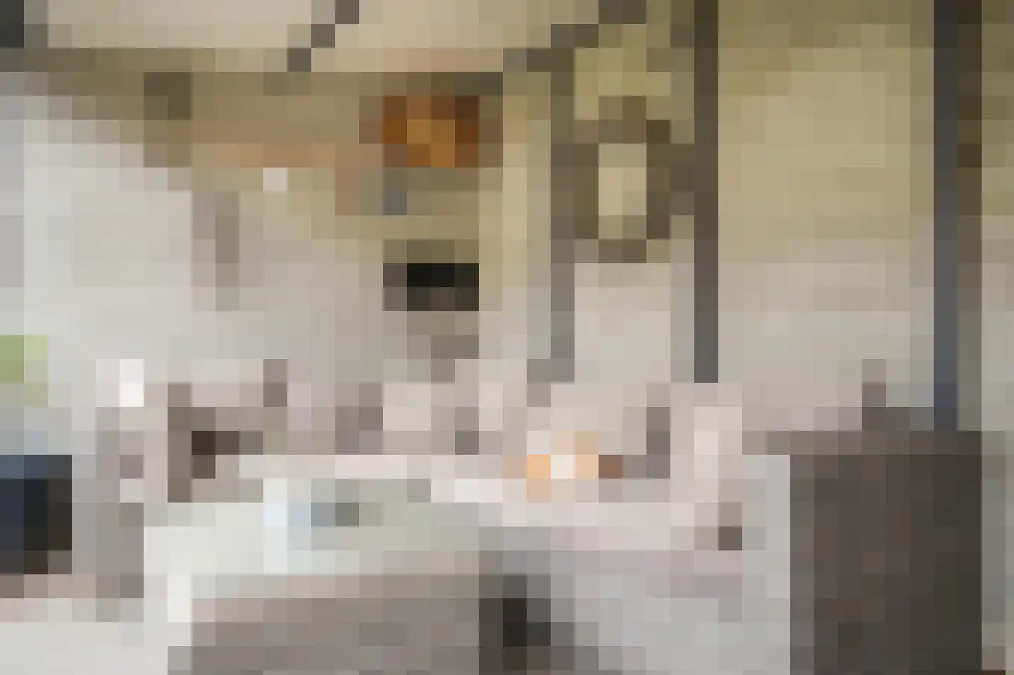 Paterstraat 98 Kerkdriel thumbnail 33