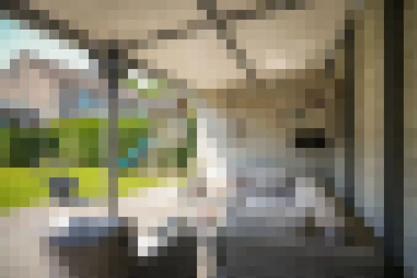 Paterstraat 98 Kerkdriel thumbnail 34