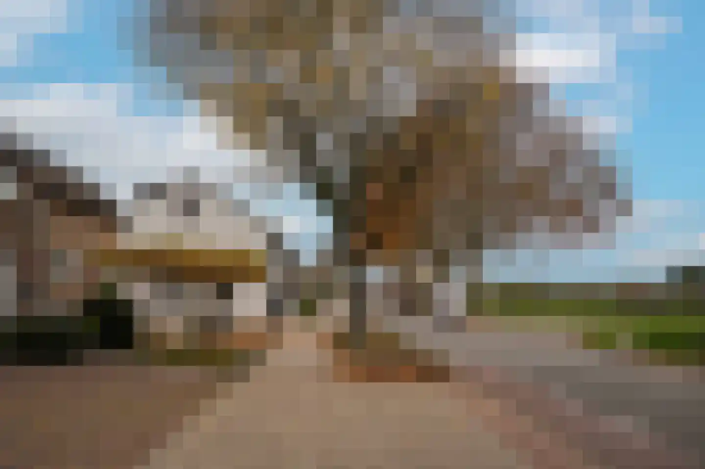 Paterstraat 98 Kerkdriel thumbnail 42