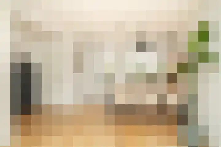 Paterstraat 98 Kerkdriel thumbnail 9