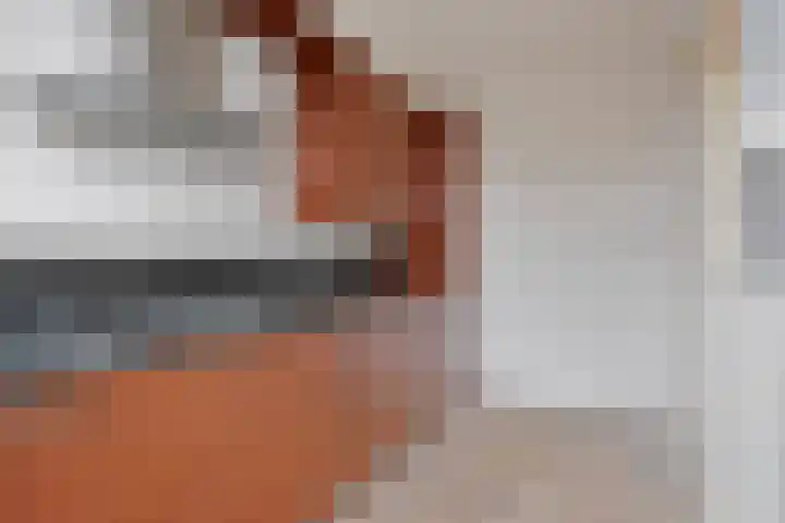 Paterstrjitte 5 Woudsend thumbnail 11