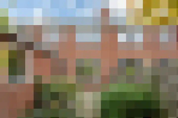 Paterstrjitte 5 Woudsend thumbnail 12