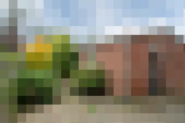 Paterstrjitte 5 Woudsend thumbnail 13