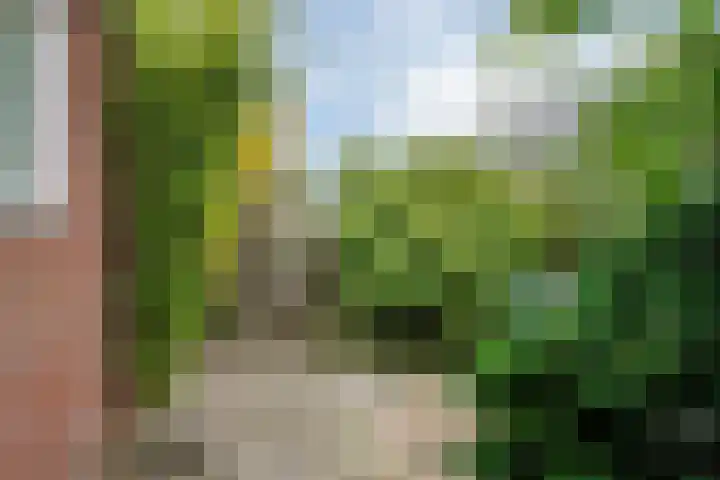 Paterstrjitte 5 Woudsend thumbnail 14