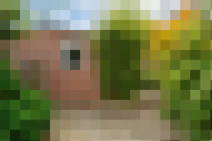 Paterstrjitte 5 Woudsend thumbnail 15