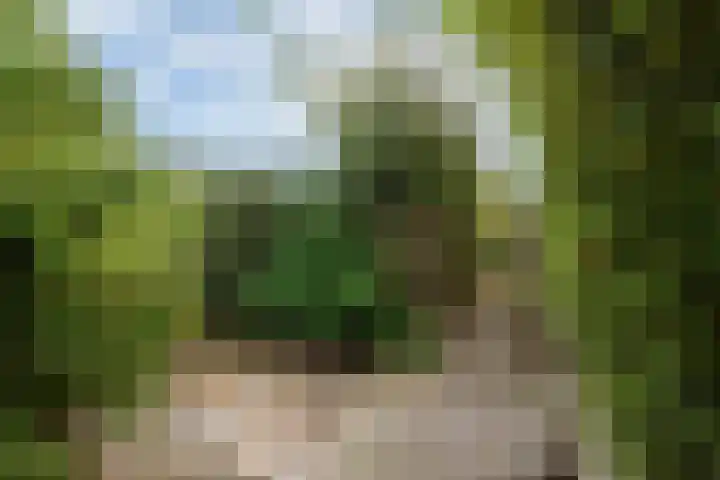 Paterstrjitte 5 Woudsend thumbnail 16