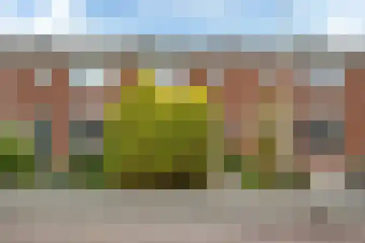 Paterstrjitte 5 Woudsend foto 2