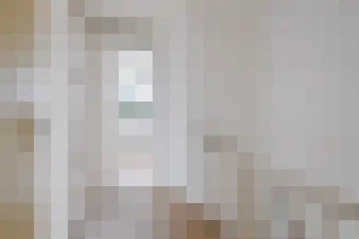 Paterstrjitte 5 Woudsend thumbnail 20