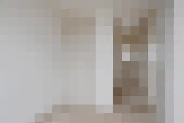 Paterstrjitte 5 Woudsend thumbnail 22