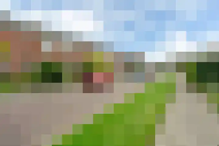 Paterstrjitte 5 Woudsend foto 3