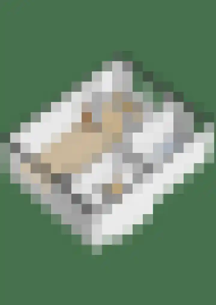 Paterstrjitte 5 Woudsend thumbnail 34