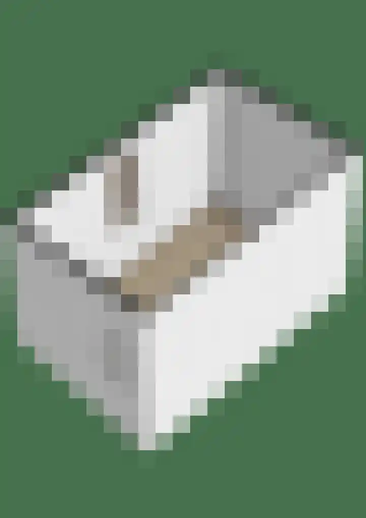 Paterstrjitte 5 Woudsend thumbnail 36