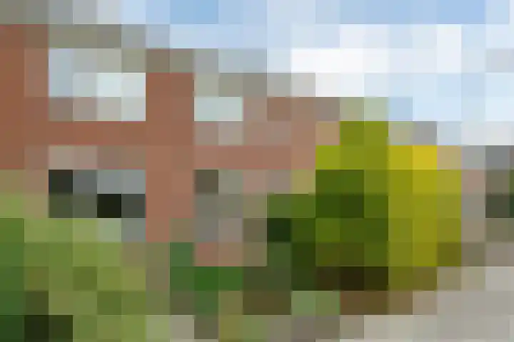 Paterstrjitte 5 Woudsend thumbnail 4