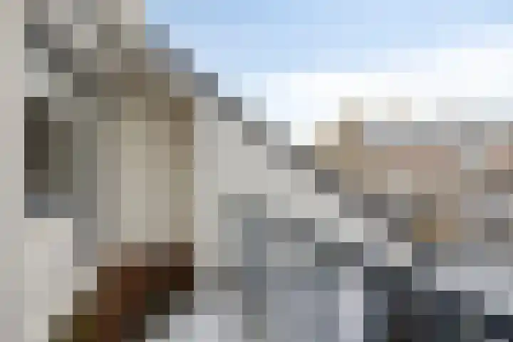Patersweg 10 Asten thumbnail 21